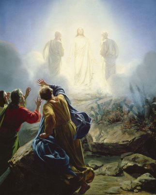 transfiguración